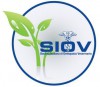 logo siov1